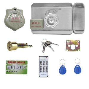 Lock Smart Electric Control Door Lock Home Home Intelligent Mute Mute Lock Porthor Access System Kit DC 12V para seguridad en el hogar