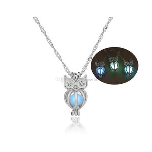 Médaillons Glow In The Dark Owl Collier Creux Perle Cages Pendentif Lumineux Animal Charme Colliers Pour Femmes Dames De Luxe Mode Juif Dhqwj