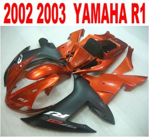 Kit de carenado de precio más bajo para YAMAHA, molde de inyección YZF-R1 2002 2003, juego de carenados de plástico marrón mate negro yzf r1 02 03 HS39