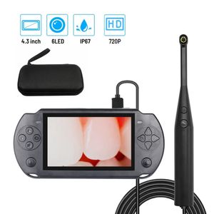 Loupes Caméra intra-orale portative 2MP HD Outil d'endoscope d'inspection d'orthodontiste avec 6 lumières LED réglables Écran IPS de 43 pouces 231204