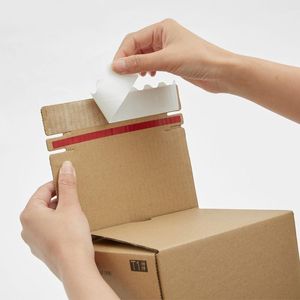 Envois Hysen 10 Boîtes d'emballage cadeaux Pack avec Zipper pour Business Self Stick Expédition Boîtes de livraison pour cosmétiques Boîtes de messagerie ondulée