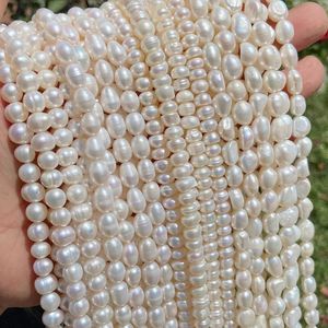 De nombreux types de perles d'eau douce perles naturelles fines perles blanches poinçon perles en vrac pour la fabrication de bijoux accessoires de bracelet à bricoler soi-même 240220