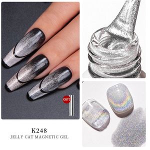 Maychao 12ml Gel Rigon de ongle gelée de chat à l'œil de chat au large du gel magnétique holographique Polon pour aimant à ongles Offres ongles accessoires art 240423