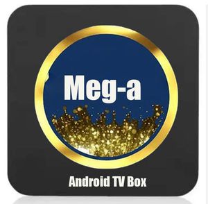 Meg-A 1/3/6 / 12 MONTHS Android TV Box STB Server Crystal