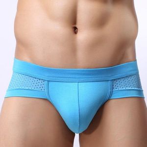 Sous-vêtements sexy pour hommes DESCRIPTION Slips pour hommes en maille modale trou U poche convexe sexe taille basse Cool mode respirant bref sous-vêtements pour homme SCK03