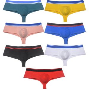 Boxer de sport en coton pour hommes, sous-vêtements brésiliens 1/2, dos couvert, moulant les hanches, slips Mini malles