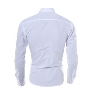 Hommes mode affaires chemise à manches longues mince bleu Royal blanc couleur unie automne vêtements Feme