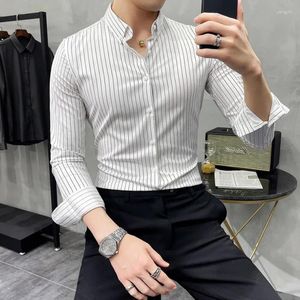 Chemises décontractées pour hommes Hommes à rayures pour hommes Spring British Style Business Long Manche Longs Iron-Fone-sans-Wrinkes Robing Clothing