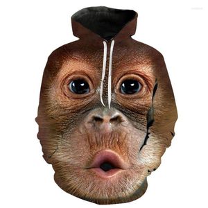 Sweat à capuche masculin Sweet à manches longues Orangutan Modèle 3D Pullover Men femmes Fashion Summer Top Animal Print Sweatt pour