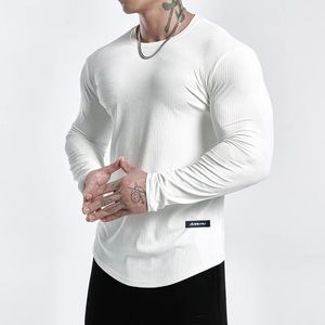 Camisas musculosas con cuello redondo para hombre, camisetas ligeras y ajustadas de manga larga para entrenamiento y gimnasio, camisetas suaves para culturismo 240124