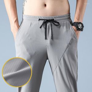 Pantalons pour hommes hommes 2022 été Non-fer décontracté Stretch Spandex Nylon mâle léger Techwear bande élastique pantalon droit