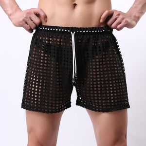 Pantalones cortos para hombre, bañadores para hombre, calzoncillos calados de malla, calzoncillos transparentes holgados informales, pantalones elásticos de secado rápido