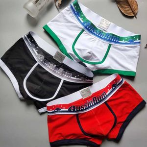 Boxer en coton pour hommes, nouveau boxer slim à hanche, livré avec un caleçon et une personnalité de la mode pour hommes, L231218