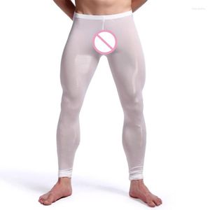 Vêtements de nuit pour hommes Pantalons de pyjama pour hommes Sexy Sheer Long Johns Translucent U Convex Pouch Panties Sous-vêtements Tight Leggings Silky Skinny Slip