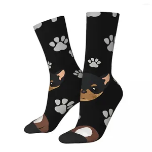 Calcetines de hombre Hip Hop Vintage lindo perro patrón perros cachorro mascota loco Unisex patas de animales Harajuku estampado sin costuras calcetín de tripulación