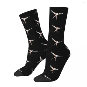Chaussettes pour hommes Wingspan Pixel Design - Bas Graphi inspirés du jeu de société Accessoires toutes saisons pour cadeau d'anniversaire unisexe
