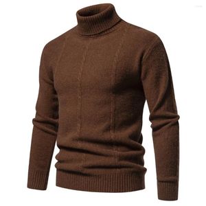 Pulls pour hommes Pull à capuche d'hiver Hommes Chaud Turtleneck Mens Slim Fit Pull Classic Sweter Knitwear