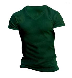 T-shirts pour hommes 26 Commerce extérieur transfrontalier T-shirt à manches courtes à col en V Fitness Sports Stripe Top Summer Knitted Clothes