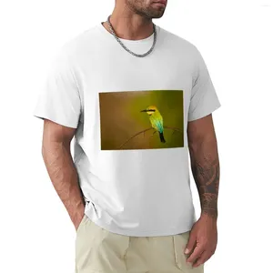 Débardeurs pour hommes Rainbow Bee Eater Territoire du Nord T-Shirt T-shirts vierges Anime Heavyweight T-shirts pour hommes