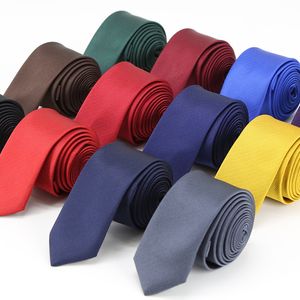 Men Skinny Tie for Mens Wedding Suit Party Slim Classic Solid Color Neck Tie Casual 6cm Necktie