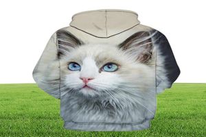 Men039s sudaderas con capucha sudaderas lindas gato niña al aire libre 3D impresión suéter suéter de mascotas estampado de moda deportes otoño otoño y 1325516