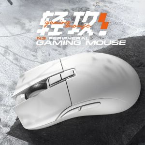 Souris Darmoshark New Bluetooth Wireless Mouse RVB Gaming Mouse pour ordinateur ordinateur portable PC MacBook Gaming Mouse Gamer 2.4 GHz