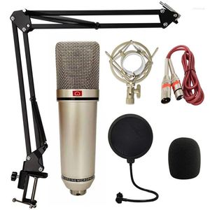 Micrófonos Kit de micrófono de condensador de metal con soporte de brazo Montaje de filtro Grabación profesional para podcast