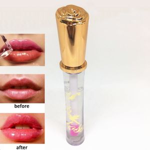 Ministar BB Lipgloss Magic Long Lasting Plumping Lip Gloss Fashion Clear Peppermint Flavored Lips Maquillaje para piel seca