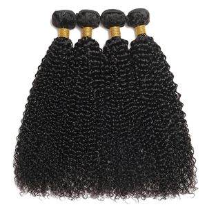 Mechones rizados Afro mongol, extensiones de cabello humano 1/3/4 Uds., 100% mechones de cabello humano postizo Virgen sin procesar, rizo Jerry