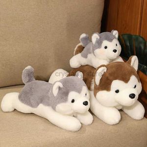 Films TV Toy en peluche mignon husky chien peluche toys animal doux farced grande taille oreiller moelleux poupées kawaii meubles décoration enfants cadeau d'anniversaire 240407