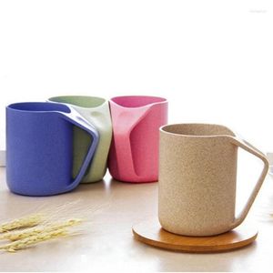 Tasses 4 couleurs écologique paille de blé saine tasse en plastique biodégradable tasse pour cuisine eau café lait jus thé