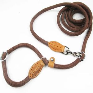 Multifictional Dog Leash P Chain Slip Collar Pet Walking Pet Drins Nylon Dog Corde Puppy Pet Traction pour petits chiens moyens 231221