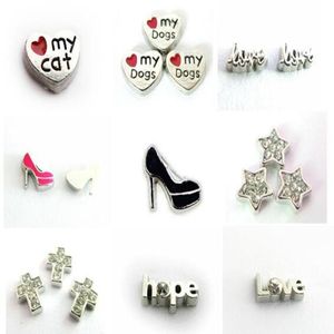 Choix multiple 20pcslot High Heel Shoe Love Star My Dog Cat Charms de médaillon flottants Fit pour la mémoire Magnétique Merd-Merdant Fashio6343572