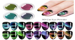 Brillo de uñas 1 caja 02g 9D Ojo de gato Polvo magnético Espejo colorido Imán Arte Pigmento DIY Diseños Decoración3251193