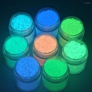 Nail Glitter 8 couleurs bricolage beauté lueur dans le noir lumineux Art sables UV Gel vernis conseils décor manucure outils