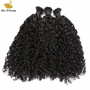 Color negro natural Inclino extensiones de cabello Onda rizada Pre-consolidada Afro Curl RemyHair