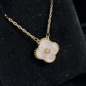 necklace clover necklace designer Acier inoxydable plante trèfle à quatre feuilles pendentif collier mode élégant féminin court clavicule chaîne collier bijoux