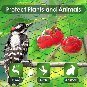 Red Red de protección antipájaros verde reutilizable Malla de 15 mm Red para plantas de jardín Proteger plantas Árboles frutales de aves Ciervos Cercas para aves de corral