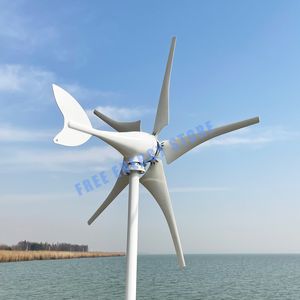 Nouvelle arrivée à l'énergie libre 6 lames 1000W 12V 24V Éolienne Générator éolien avec contrôleur MPPT Home Useau à basse vitesse du vent Démarrage