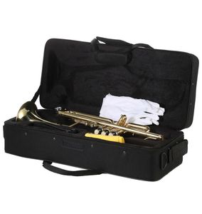 Nueva pintura para principiantes Gold Drop B trompeta Bb ajustable con boquilla Kit de estuche para banda escolar estudiantil Golden2649487