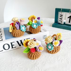 Nouveaux objets décoratifs faits à la main polyvalents pour voiture, petits paniers suspendus, bureau, mini crochet, tissage de fleurs, plantes en pot