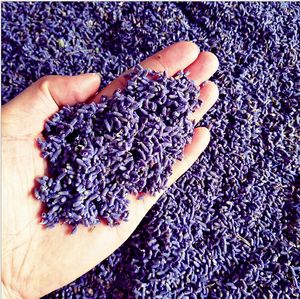 Neuer echter A~5A natürlicher anhaltender Lavendel 1 Unze (30 g) lila getrocknete Blumenpartikel Beutel Kissen Lavendelsäckchen für Teeauto