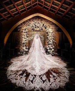 Nouveaux Voiles De Mariage Pas Cher Livraison Gratuite Dentelle Paillettes Appliqued Blanc Ivoire Tulle De Mariage Voile De Mariée 3 M Long Une Couche