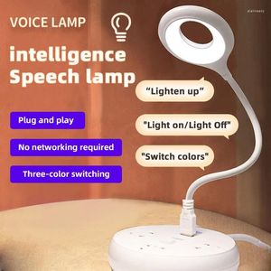 Veilleuses voix intelligente USB prise directe lampe portable dortoir chevet protection des yeux les étudiants peuvent apprendre à lire la lumière
