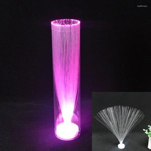 Veilleuses multicolores LED fibre optique lampe lumière décoration intérieure pièce maîtresse vacances mariage