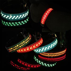 Colliers de chiens lumineux clignotants de sécurité nocturne S M L USB Rechargeable Glow Light Up Nylon Doggy Collar