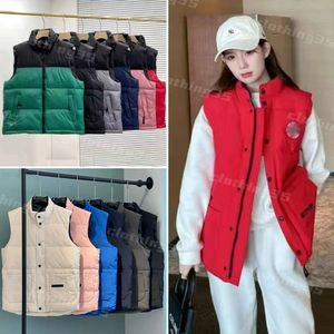 designer gilet puffer hommes vers le bas parkas gilets femme designer hiver plume gilet bodywarmer extérieur sans manches parka top version pièces en gros