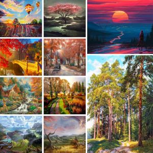 Numéro de paysage nature peinture par numéros définir les peintures à l'huile 50 * 70 image par nombre photo décoration de maison pour adultes art mural