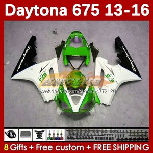 Kit de camerage OEM pour Daytona 675 675r 13 14 15 16 2013 2014 2015 2016 Moto BodyWorks 166No.85 Daytona675 Body Daytona 675 R 2013-2016 Motorcycle Fairing blanc vert blanc
