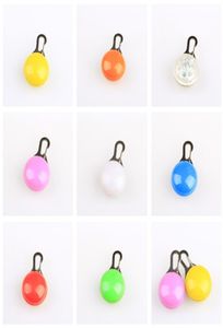 Pet Pet Pendant LED Light Dog Tag 9 Color Luminous Night Dog Collar coloré9448291